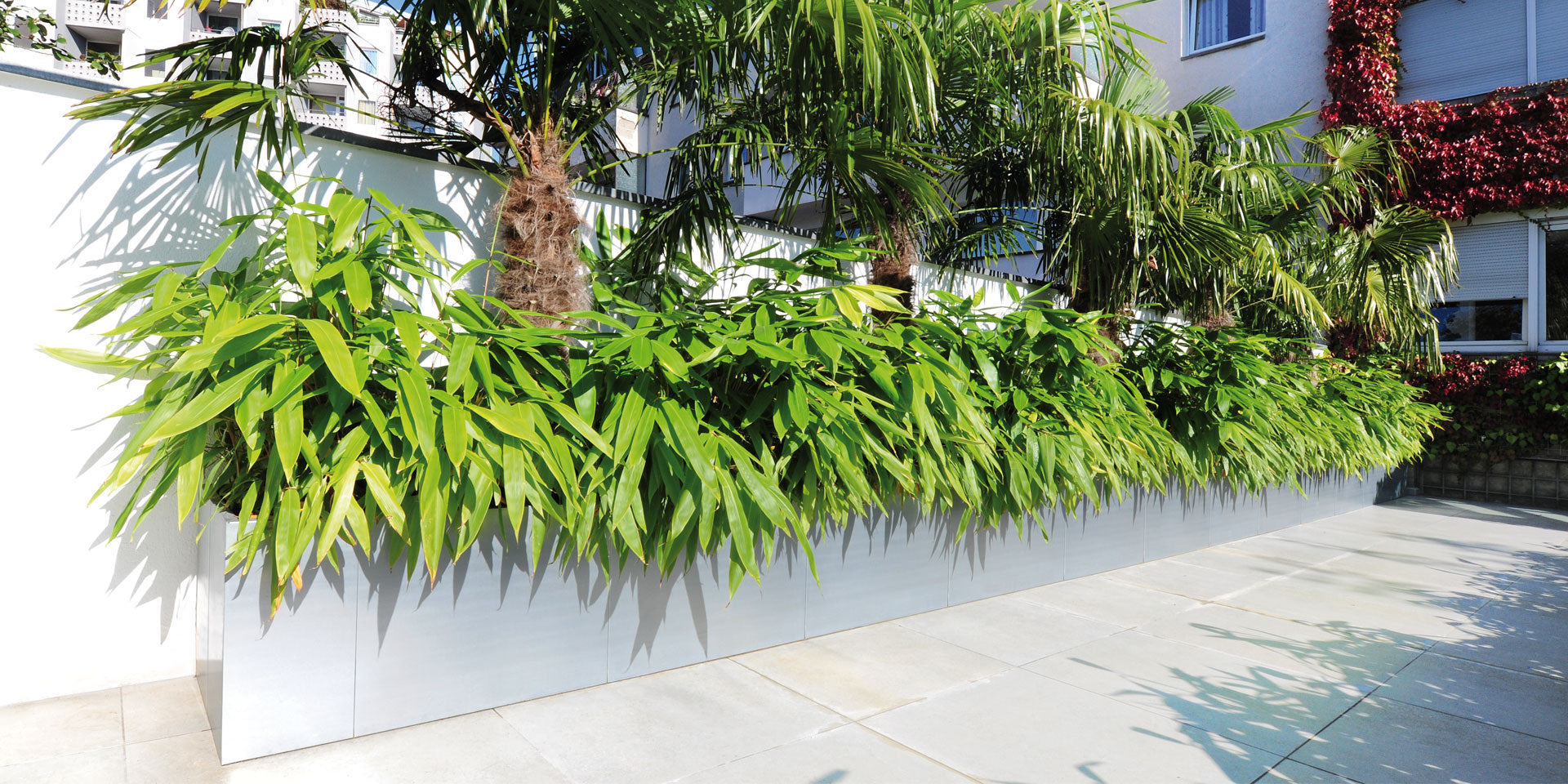 Edelstahl Hochbeete Modular auf der Dachterrasse mit Palmen und grünen Pflanzen
