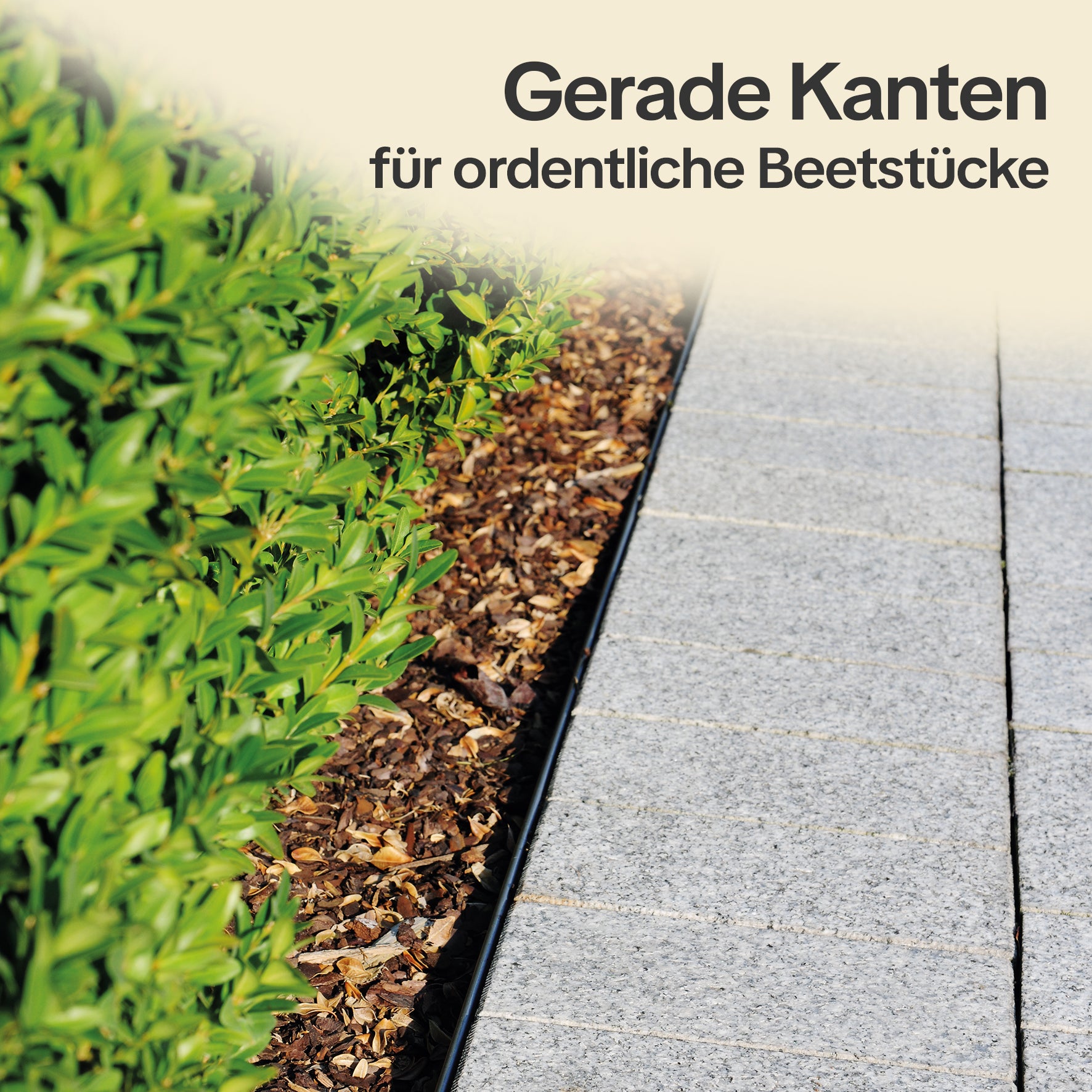 Beeteinfassungen sorgen für gerade Kanten zwischen Terrasse und Beet