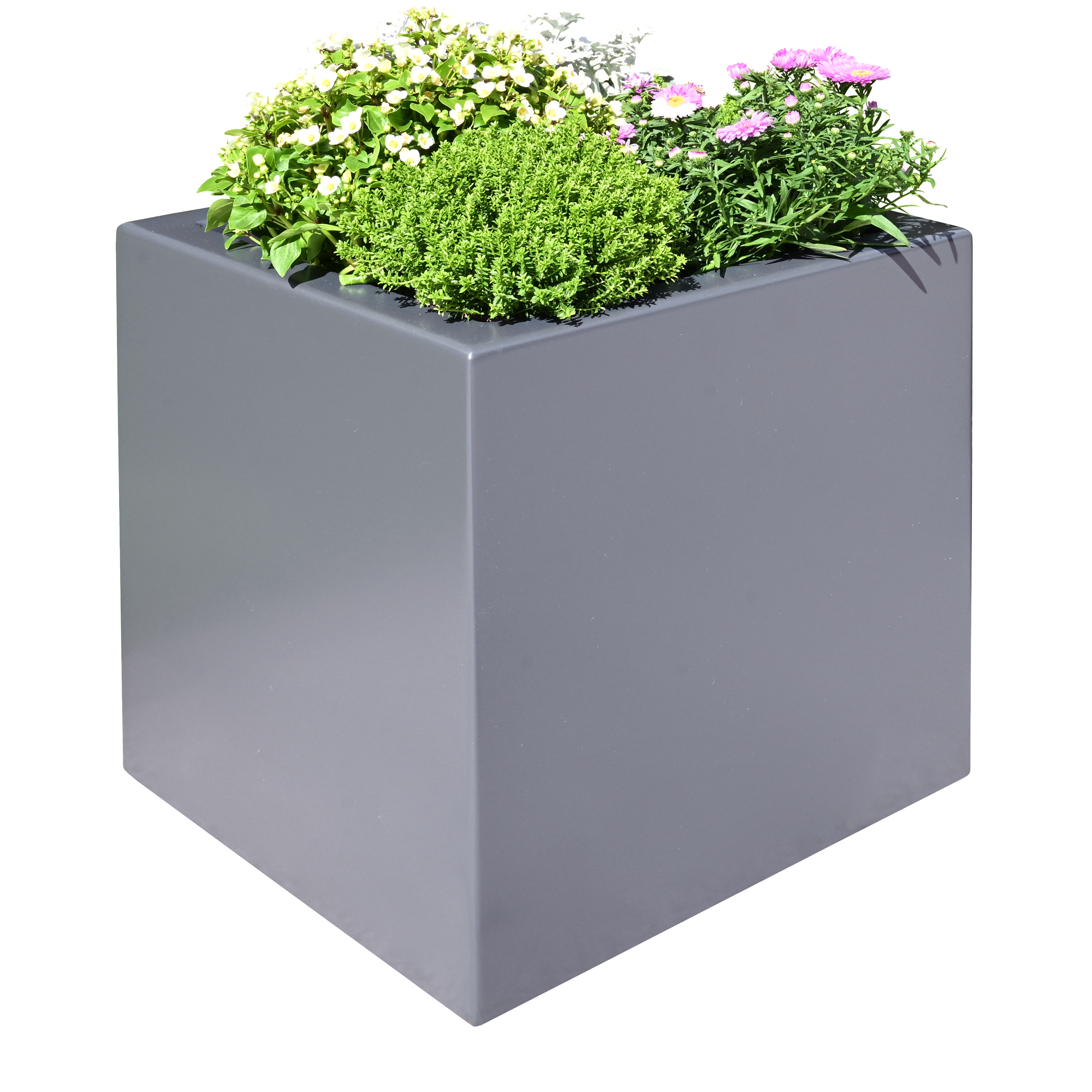 Pflanzkübel Clarus mit grünen Blumen bepflanzt