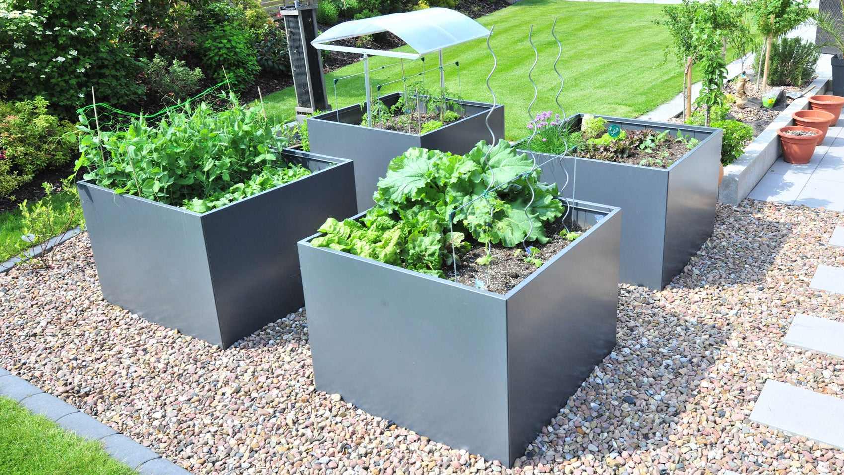 Vier quadratische Hochbeete aus grauem Aluminium für den Anbau von Gemüse und Kräutern im Garten