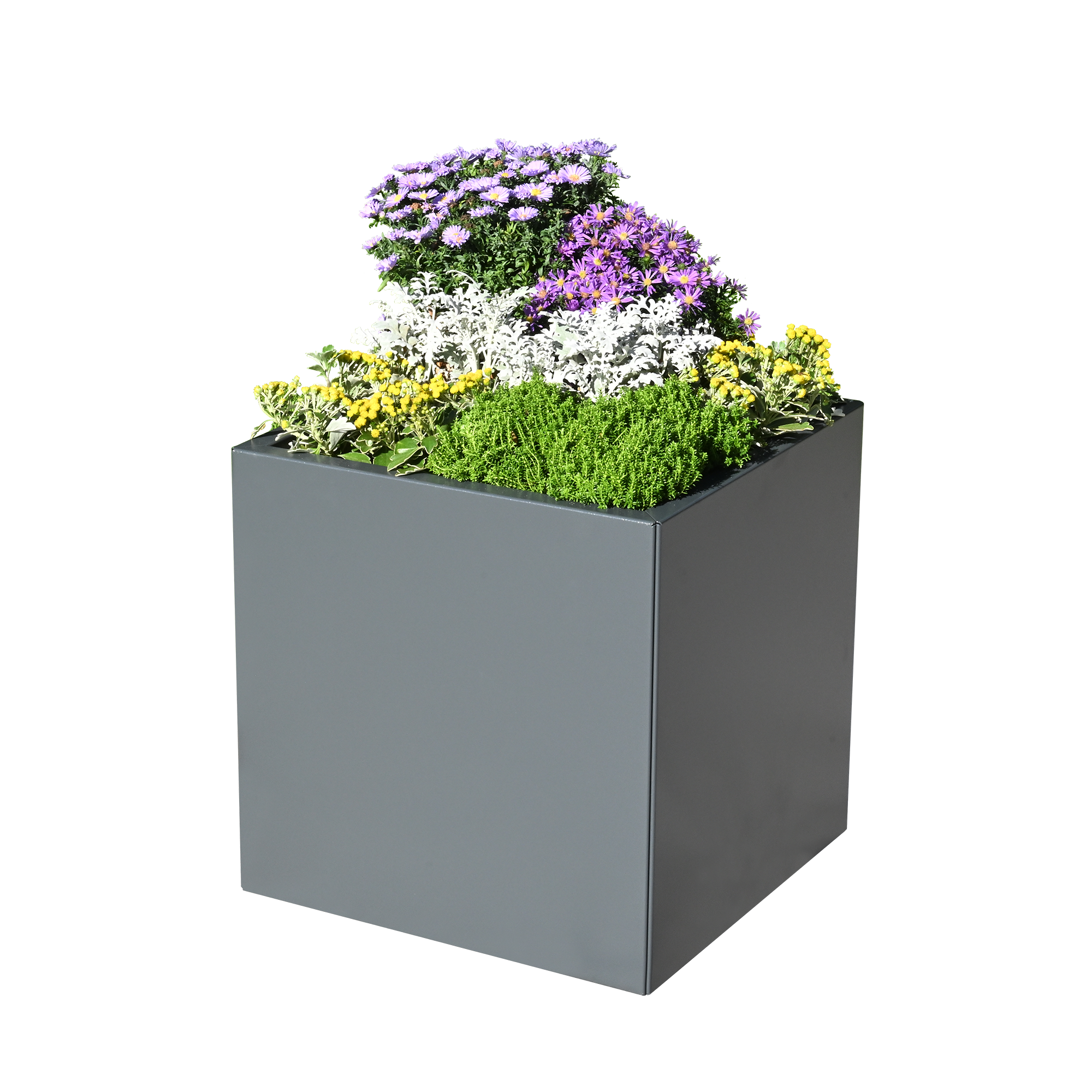 Doppelwandiger Pflanzkasten Duplex Max aus Aluminium mit grauer Lackierung im Garten mit bunten Blumen