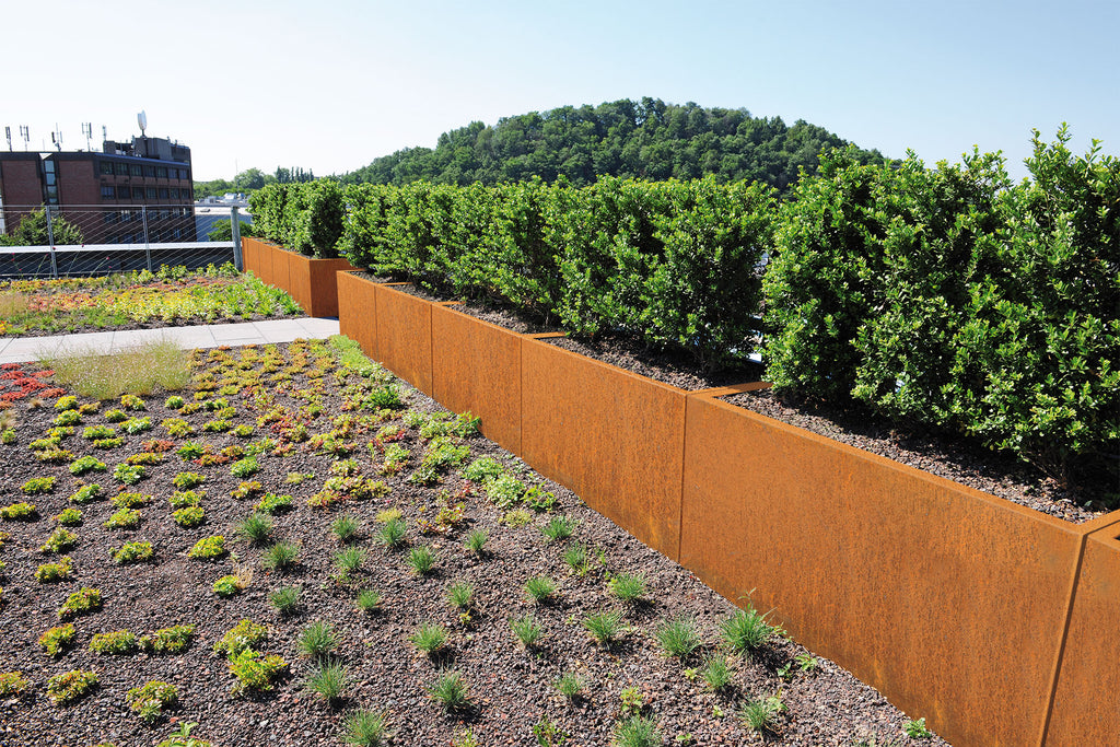 Hecke aus Corten Pflanzkübeln Clarus als Abgrenzung